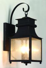 Trans Globe 45632 WB - Santa Ines 21.5" Wall Lantern
